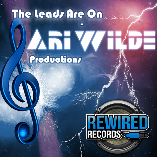 Ari Wilde - The Leads Are On