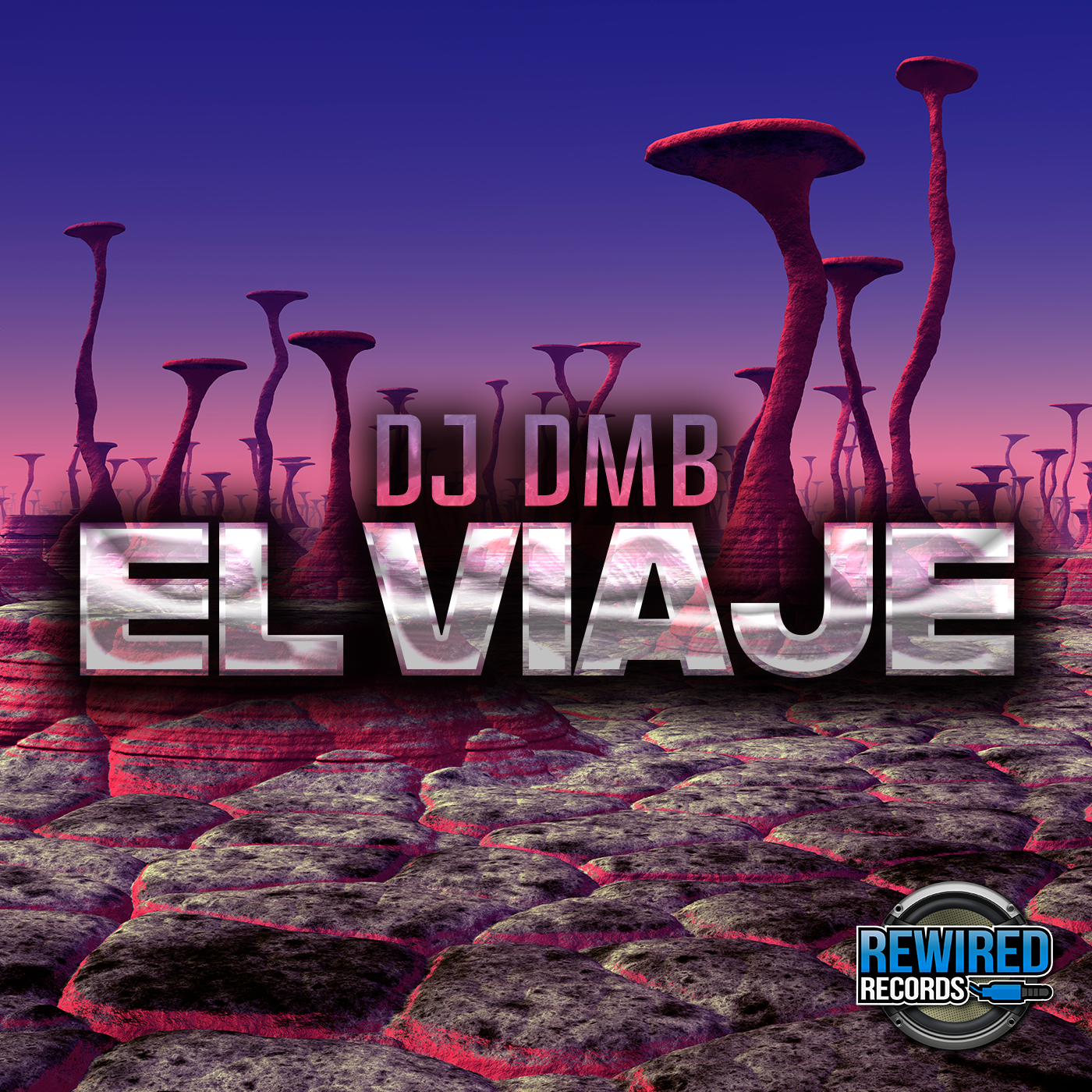 DMB - El Viaje - Rewired Records